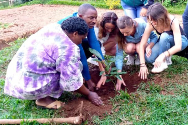 Un arbre nommé “GIHAMYA”, fruit du projet de correspondance
